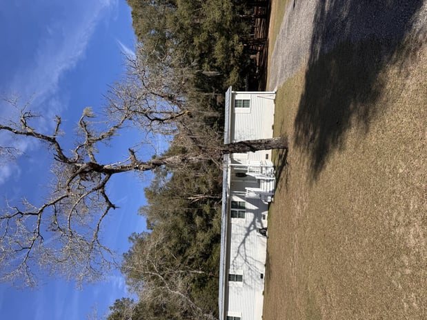 Images Trent's Tree Service The Neighborhood Arborist LLC