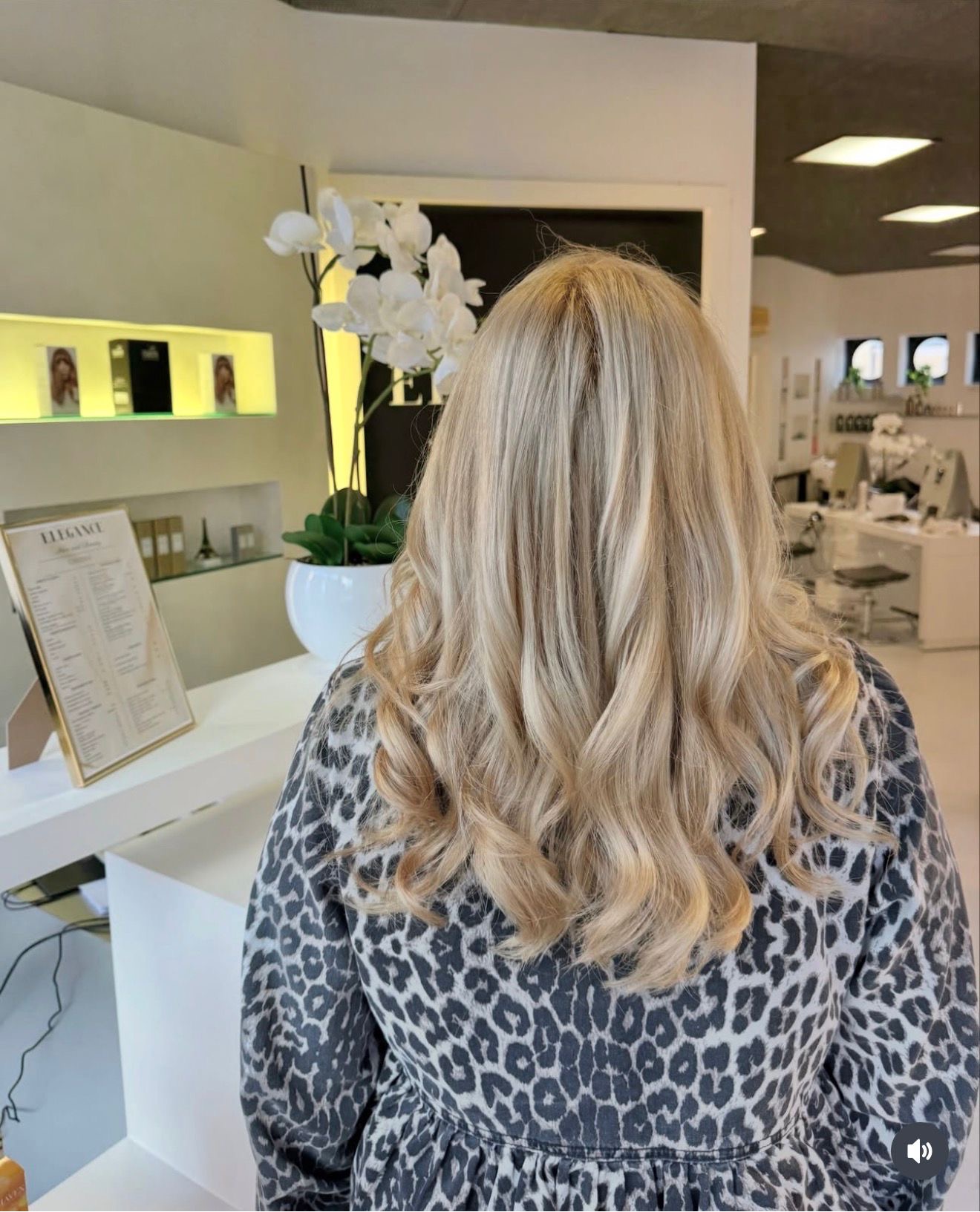 Bilder Elegance hair and beauty