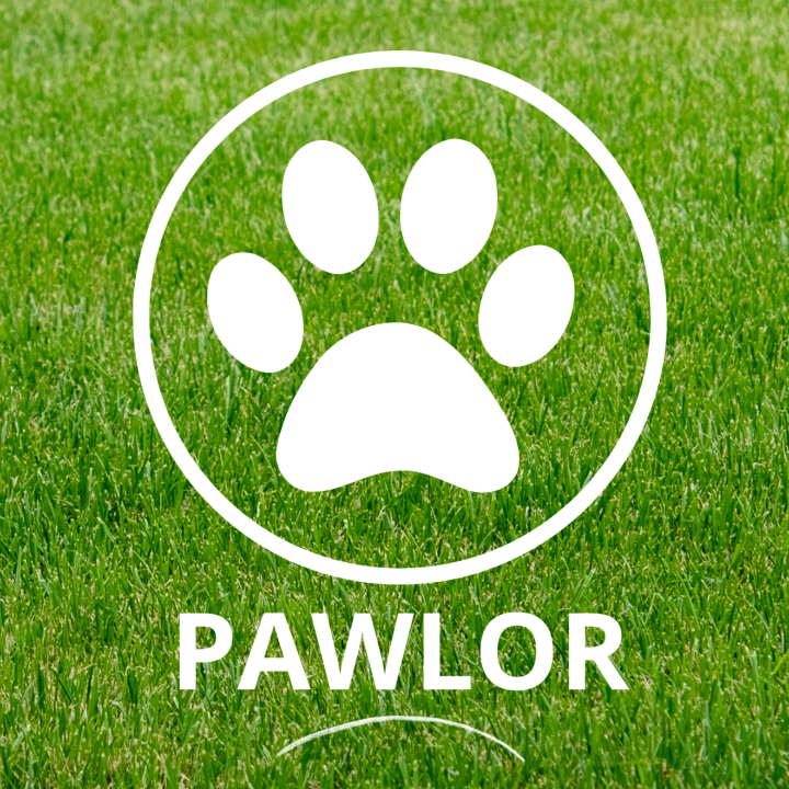 pawlor animalerie