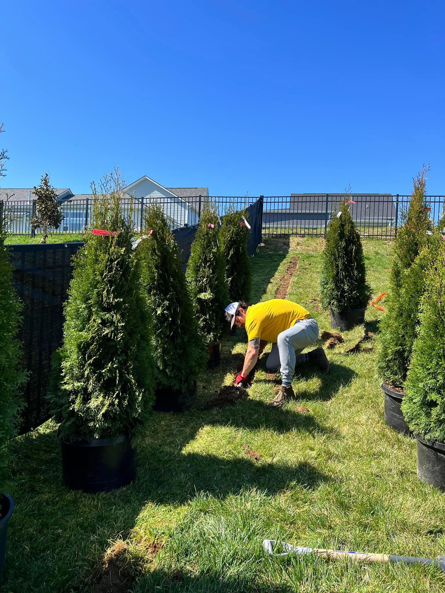 College Grove Landscaping