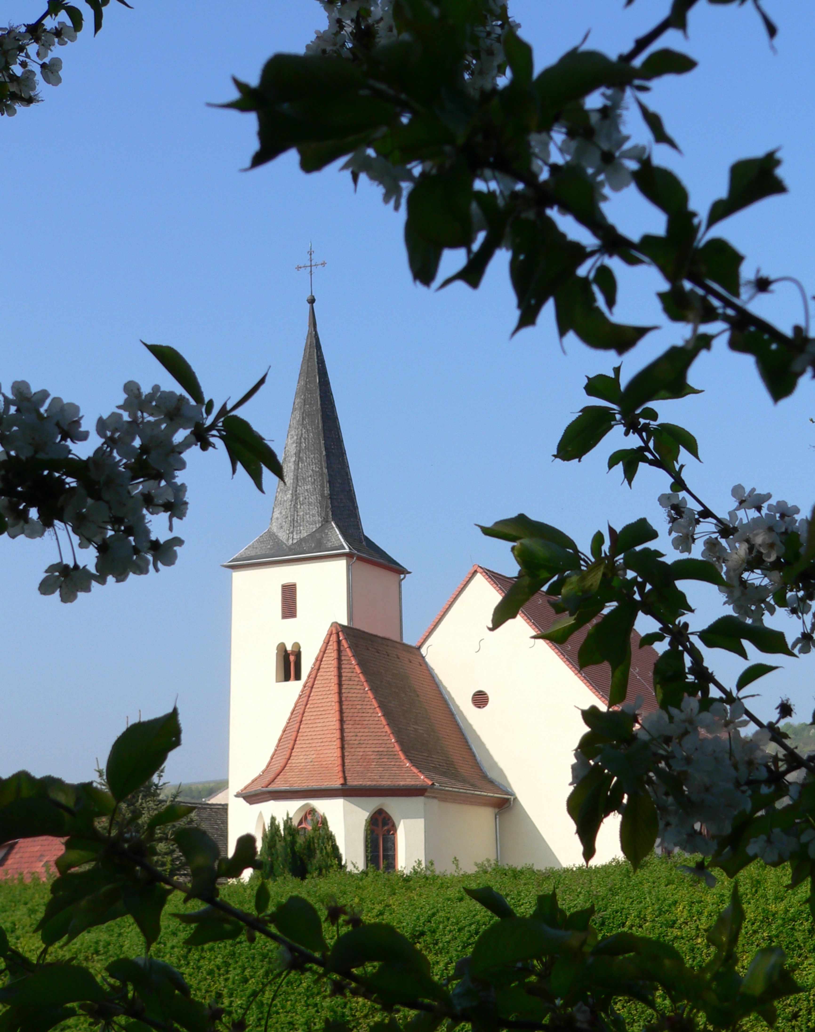 Bild 1 Bonifatiuskirche Dienheim - Evangelische Kirchengemeinde Dienheim mit Ludwigshöhe in Dienheim