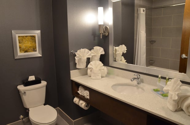 Images Holiday Inn Express & Suites Albany by IHG
