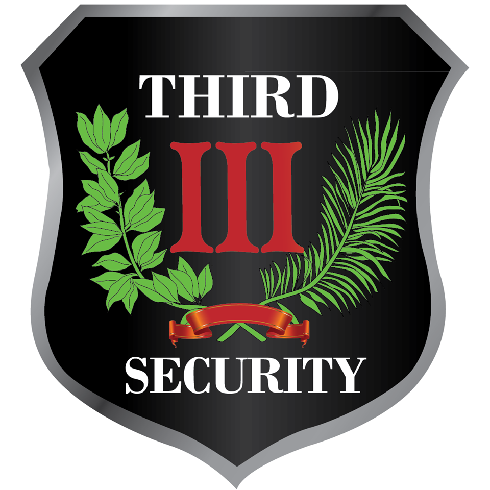 Third Security Corporation Logo