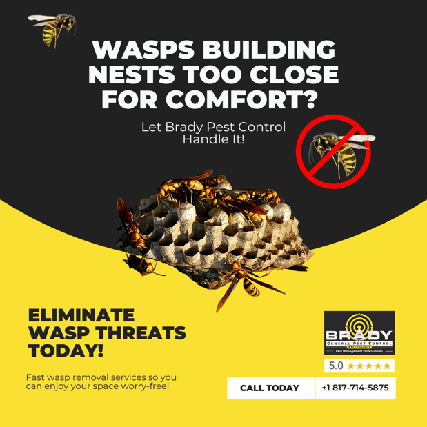Images Brady Pest Control