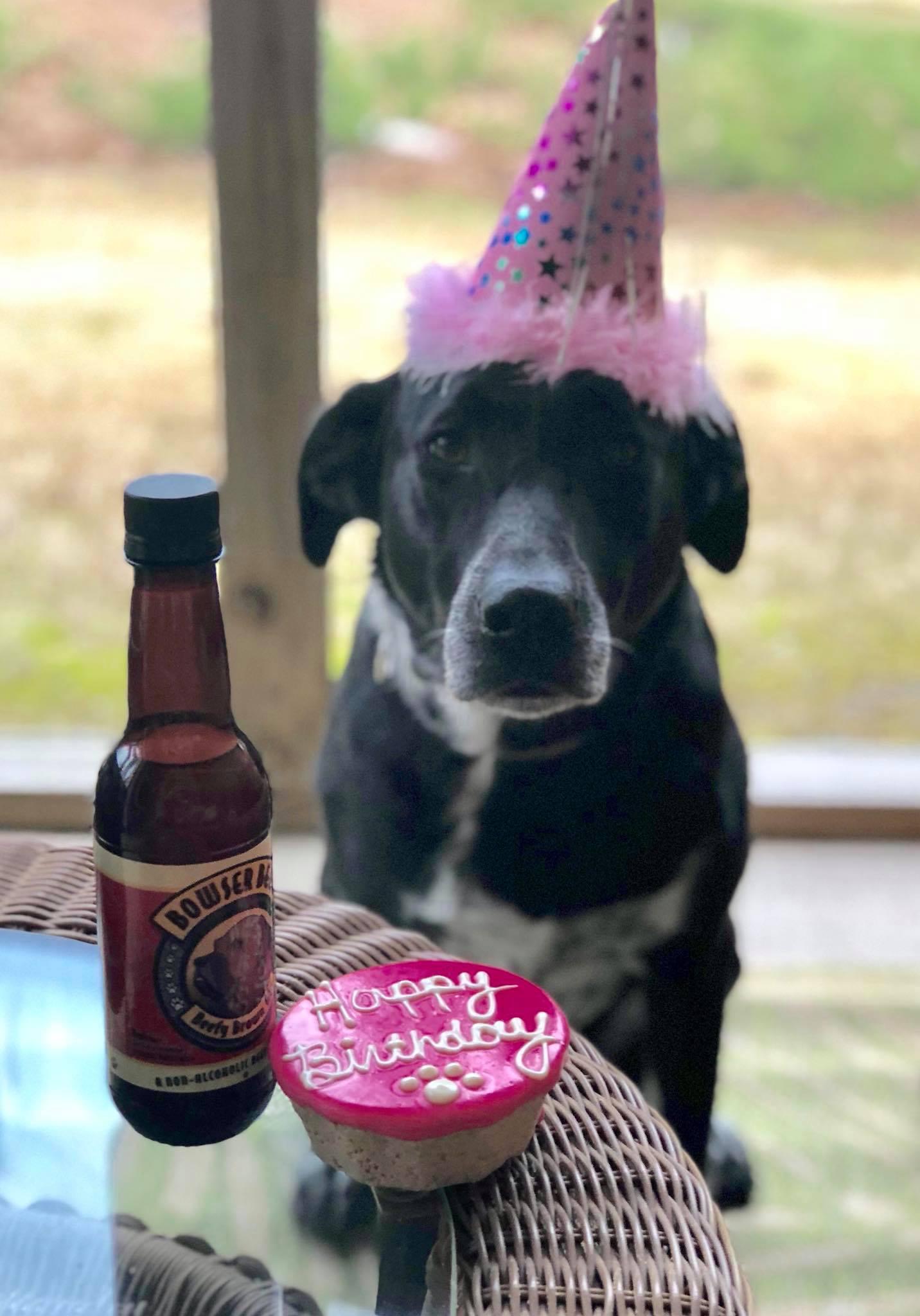 Woof Gang Bakery &amp; Grooming Cary Logo