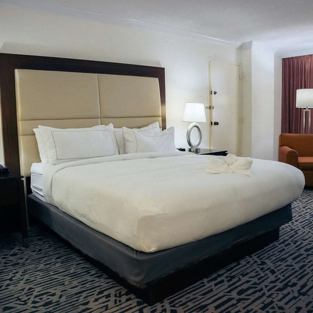 Images Hilton Palm Beach PBI