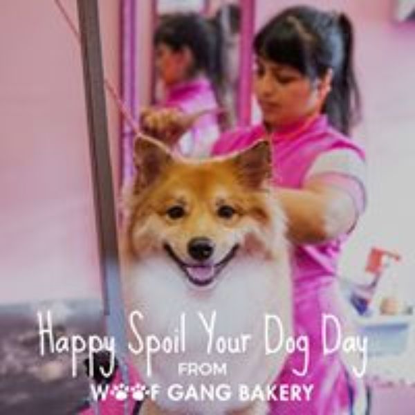 Need Raw diet for your pets? Woof Gang Bakery & Grooming Henderson in Alabama has the largest selection of raw diets with a strong emphasis on holistic natural care. Homoeopathic and herbal remedies.