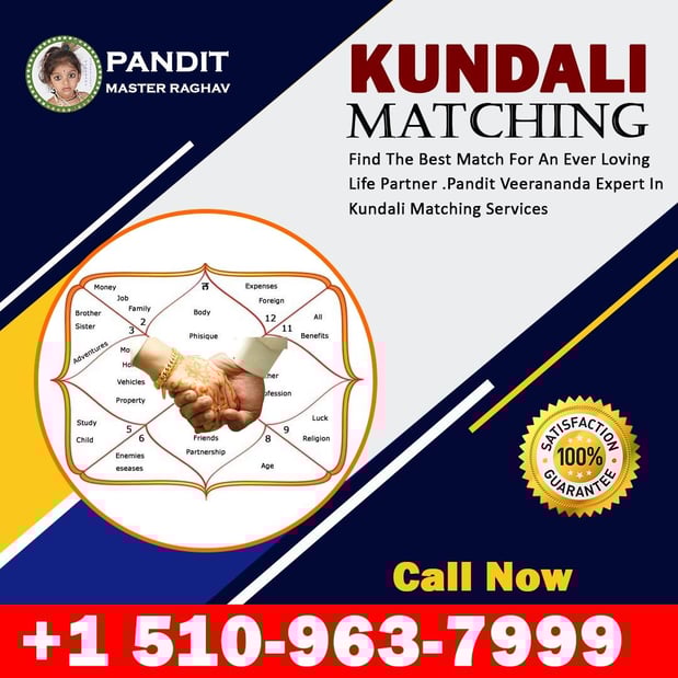 Images Pandit Raghav Psychic Reader Indian astrologer