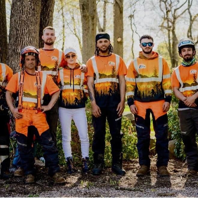 Images Denison Tree Removal