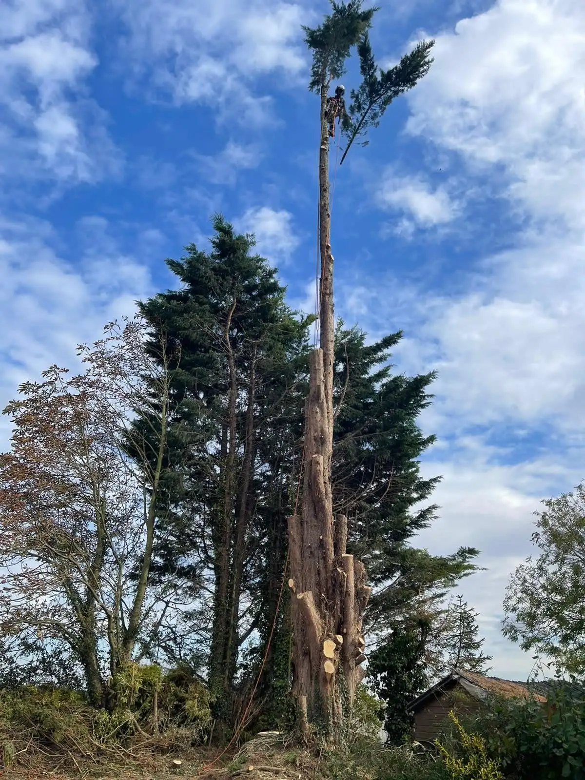 Images S P Landscapes & Tree Contractors