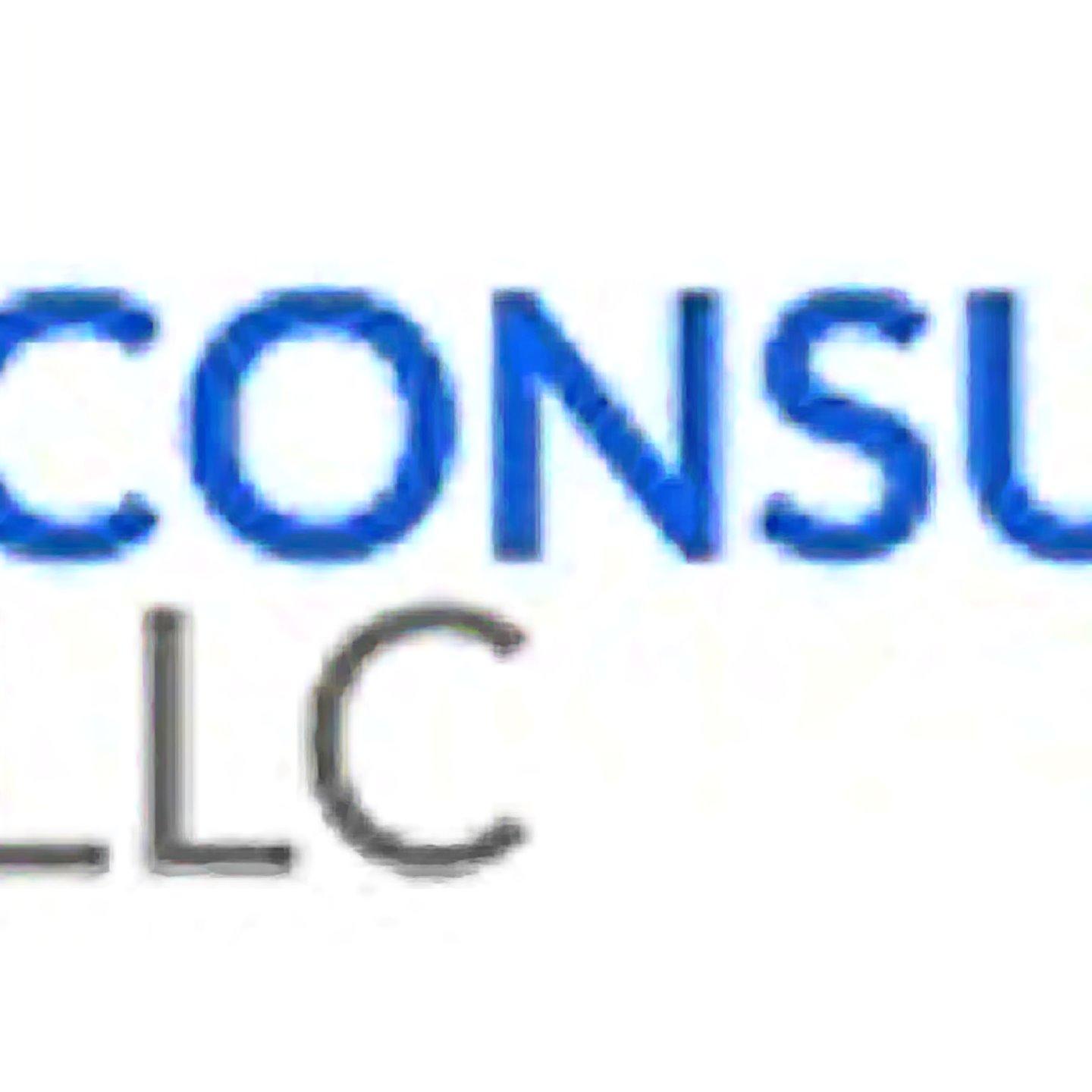 Erp Consulting, Llc