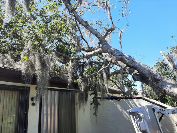 Images Redwine's Tree Service LLC