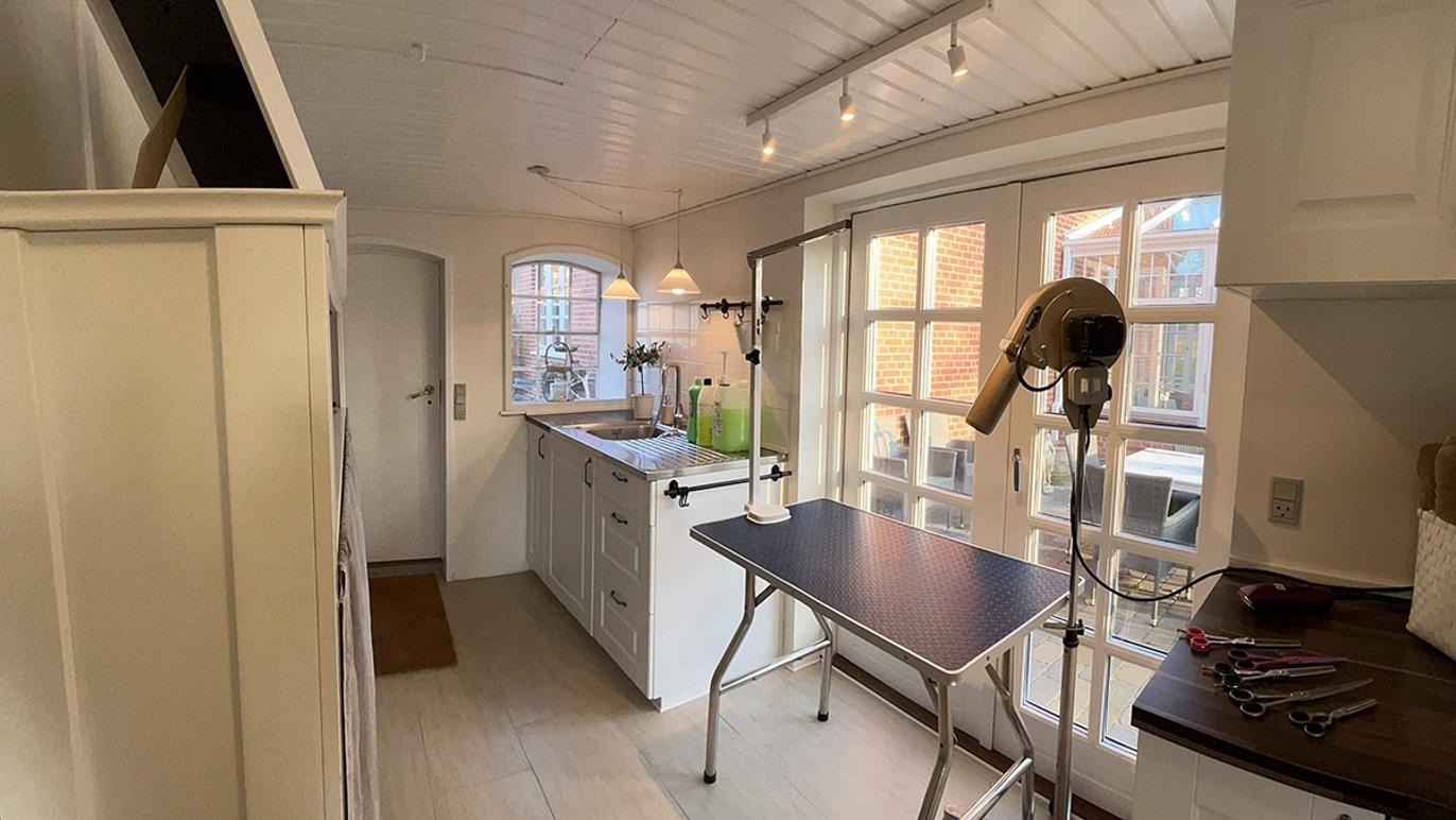 Images Vibes Lille Hundesalon