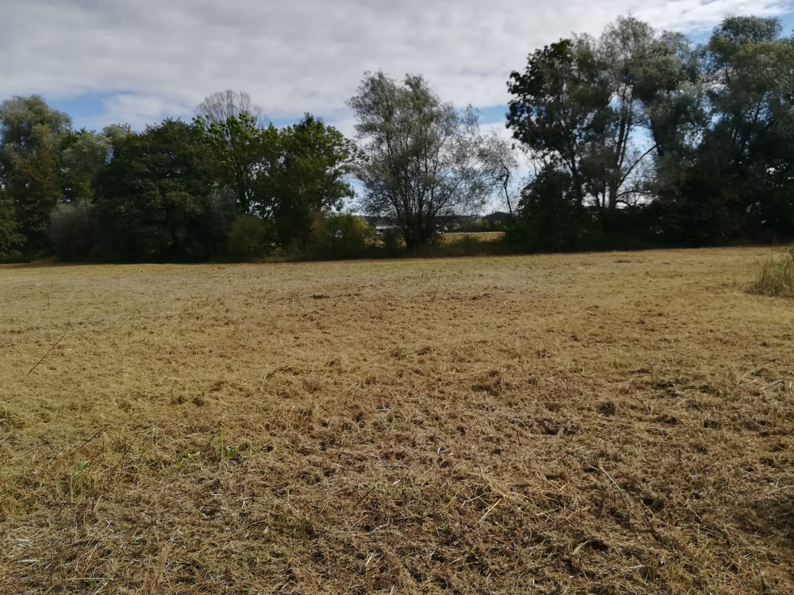 Gartenbau Lieble, Kornblumenstraße 18 in Vöhringen