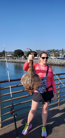 Images SoCal Eco Tours