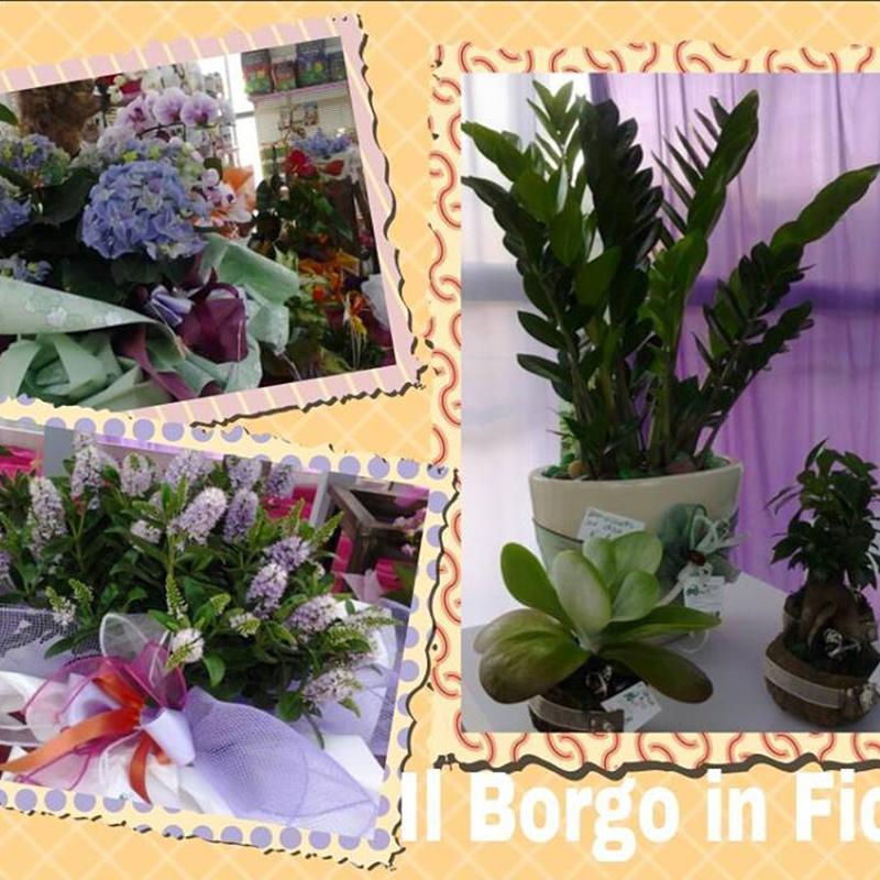 Images Il Borgo in Fiore