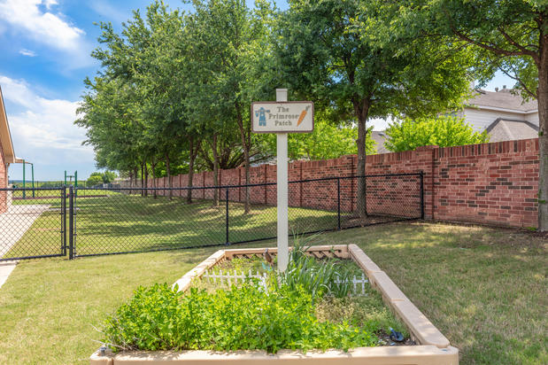 Images Primrose School of Grand Peninsula