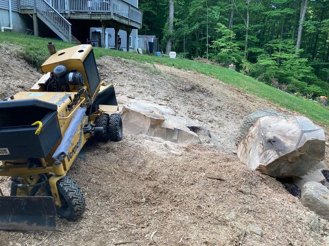 Images Precision Stump Grinding