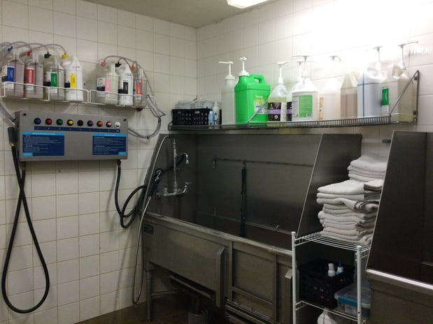 Images Petco Grooming