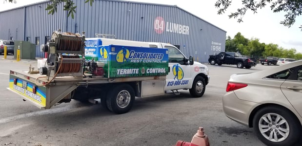 Images Consolidated Pest Control