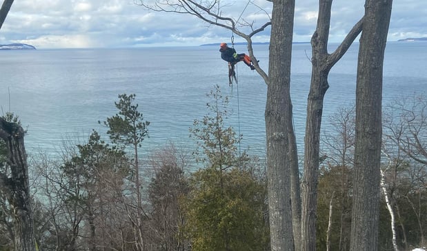 Images Deering Tree Service