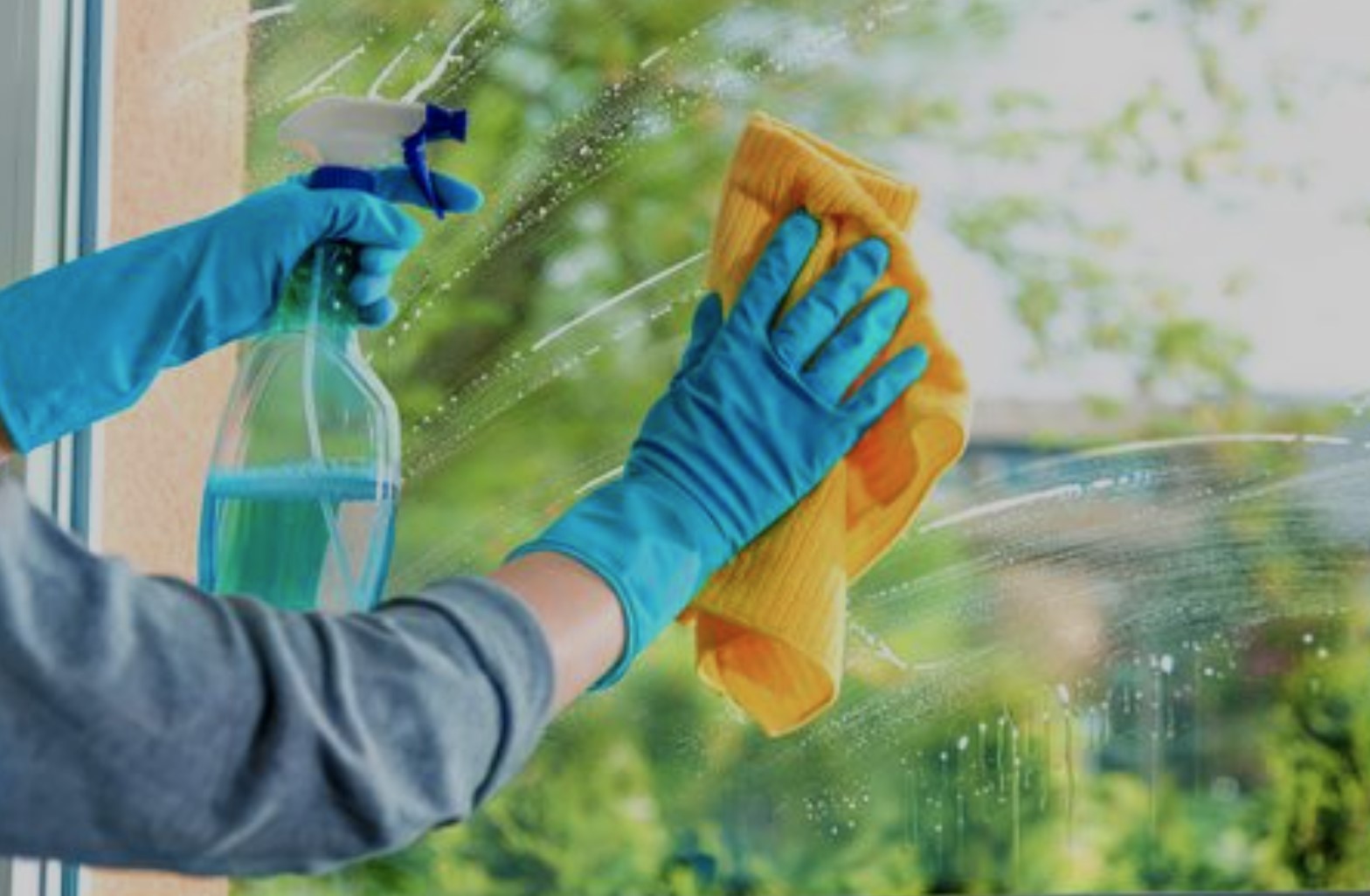 Bilder Safarova Haus-Service