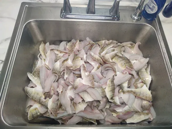 Images Sir Walleye Charters