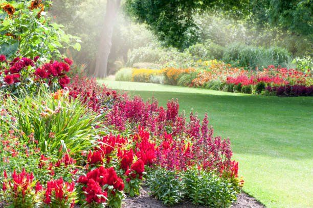 Images Steve's Lawncare and Construction
