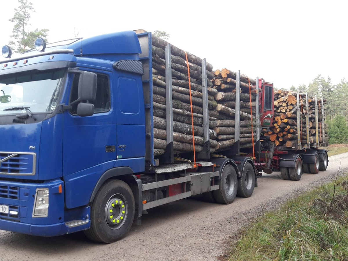 Jaudīgs Mežmikeļi kokvedējs ar pilnu apaļkoku kravu.