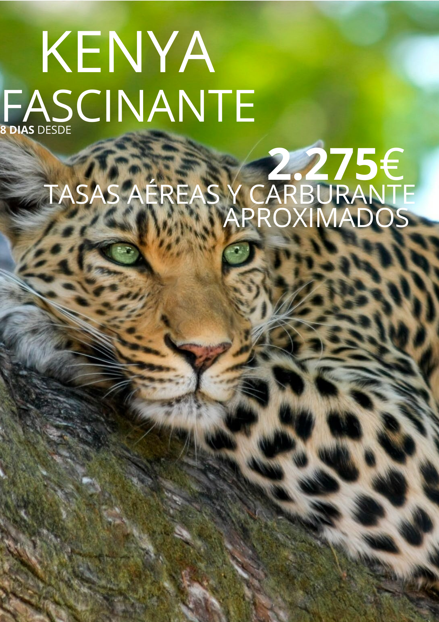 Images Ie Viajes