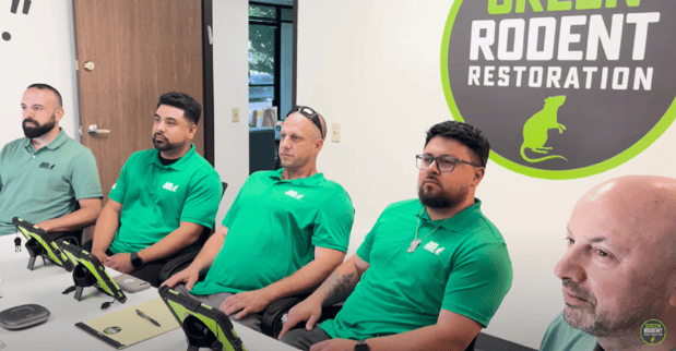 Images Green Rodent Restoration