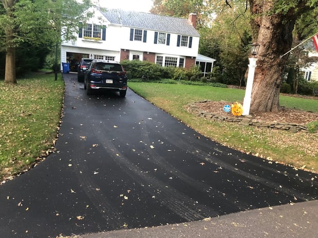 Images Black Bear Sealcoat