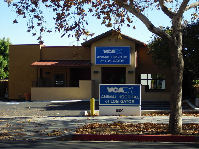 Images VCA Animal Hospital of Los Gatos