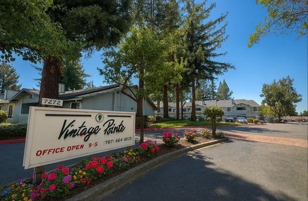 Images Vintage Pointe