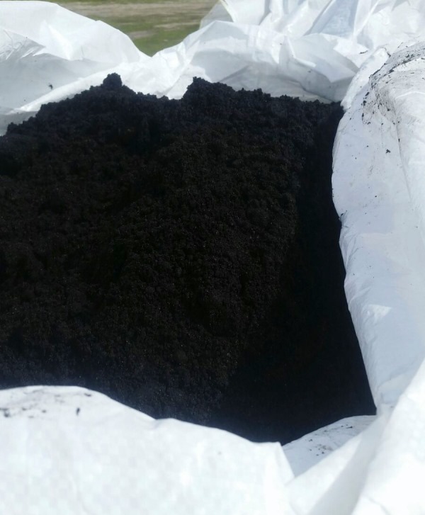 Images Turbas Del Prado