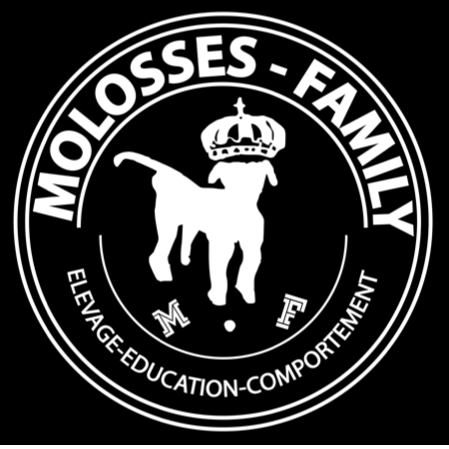 Molosses Family