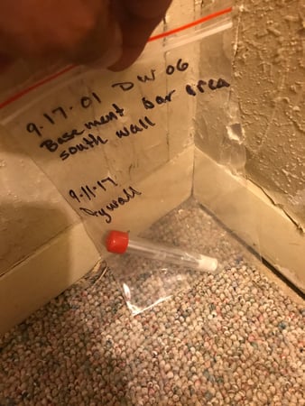 Images Rex Environmental