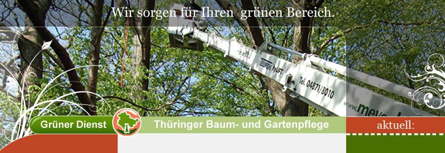 Bild 5 GRÜNER DIENST - Baumpflege in Ermstedt