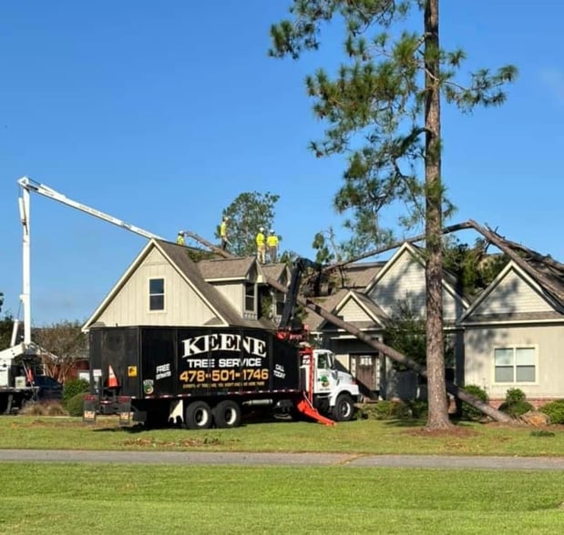 Images Keene Tree Service