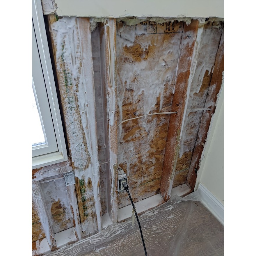 Foaming mold treatment photo showing cleaning solution applied to affected wood surfaces for improved coverage and longer contact time.