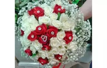 Images Marcella Fiori