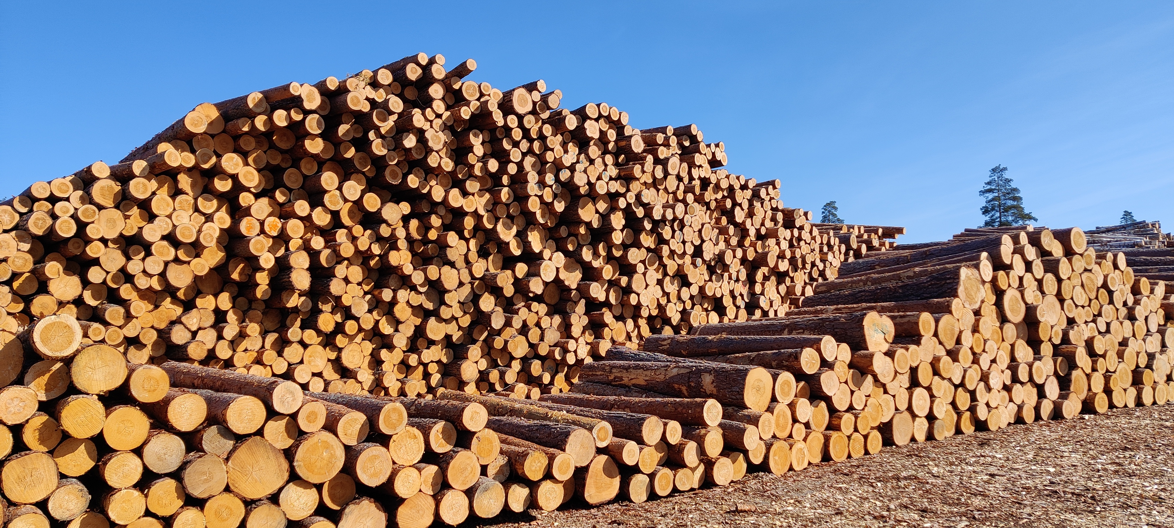 Images Family Timber Finland Oy