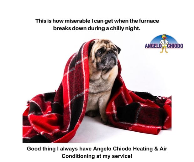 Images Angelo Chiodo Heating & Air Conditioning