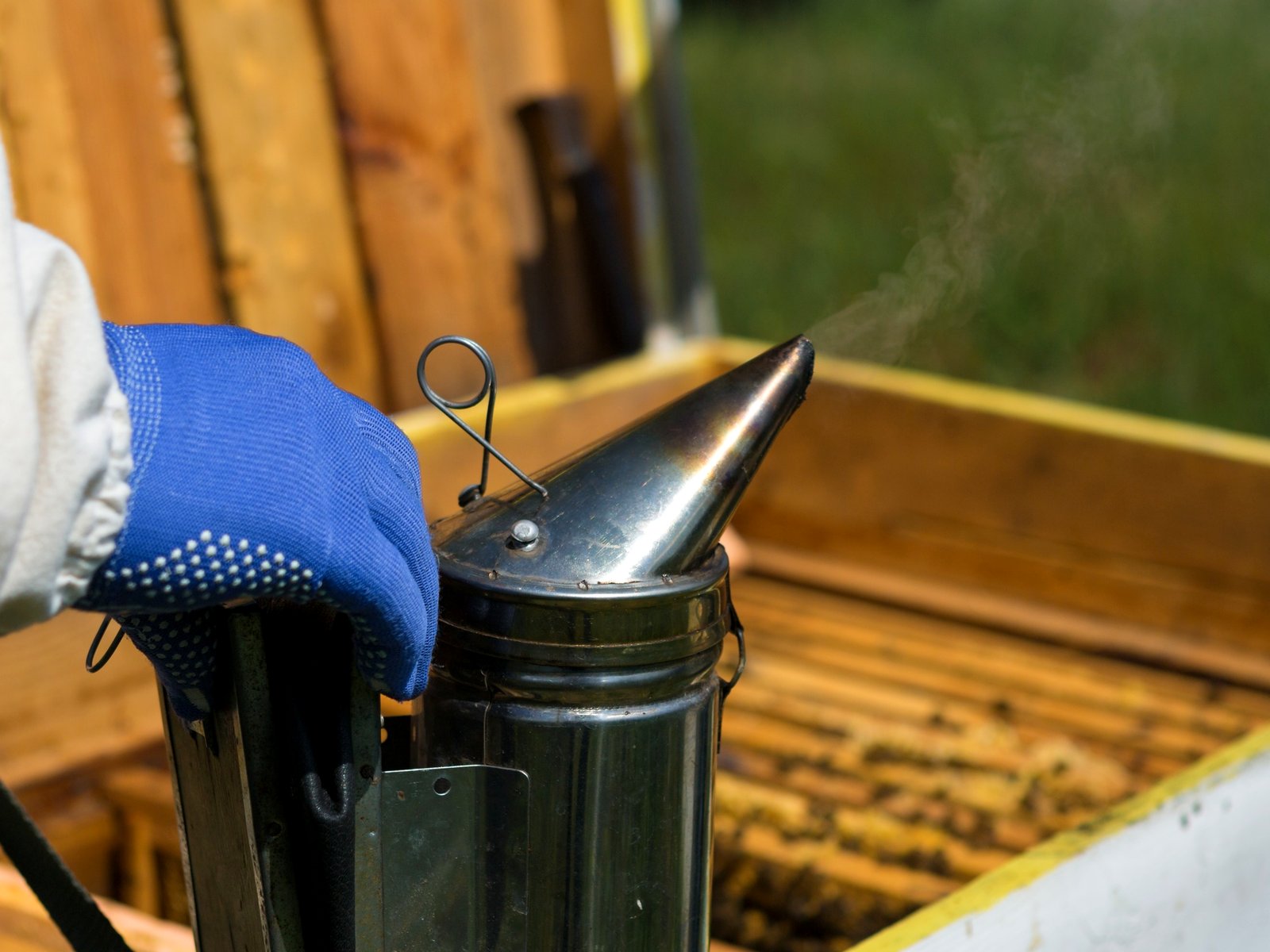 CBD Termite and Mosquito Control