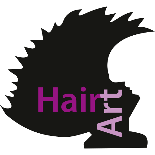 Hair Art Friseur in Kirchheim in Kirchheim bei München - Logo