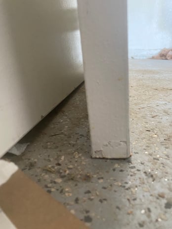 Images Water Damage Professionals