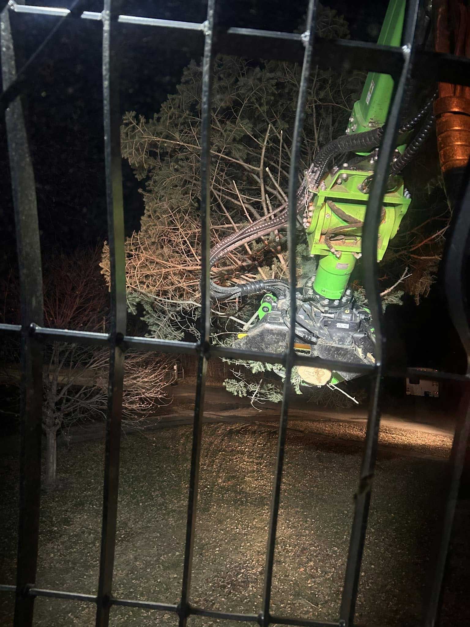 Schwebach Tree Service Image