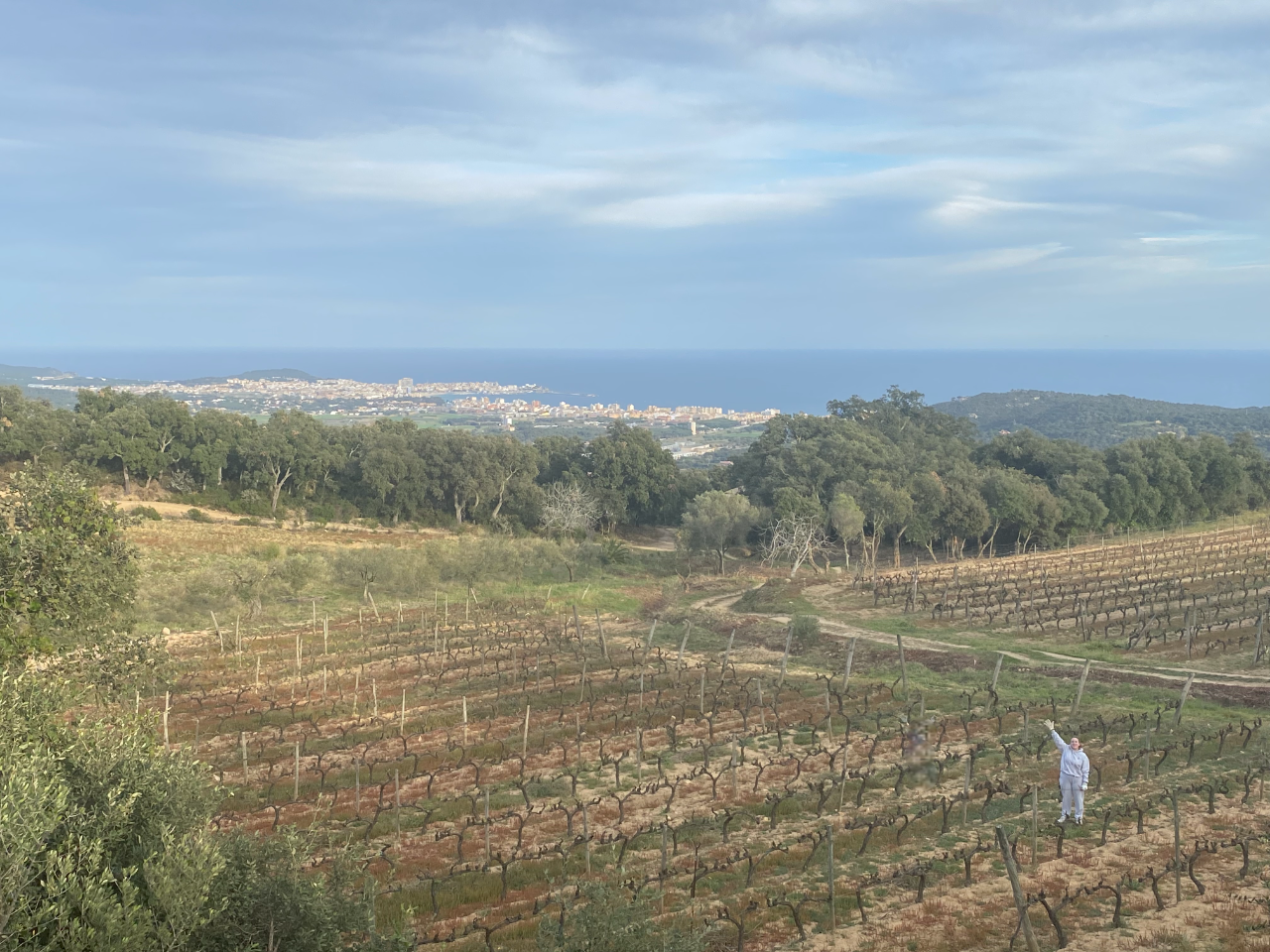 Images Apasitolento Viticultor