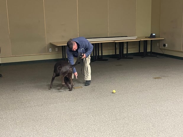 Images Custom Canine Unlimited