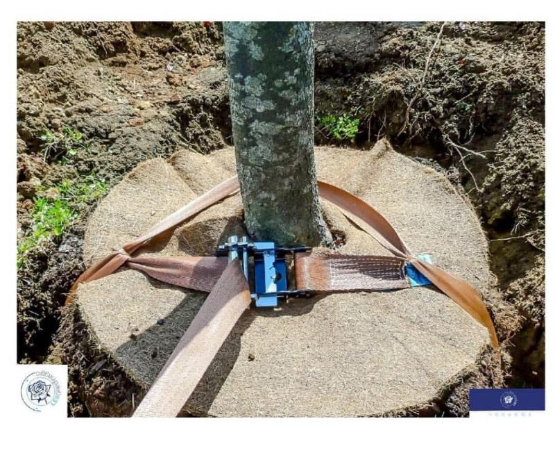 Images Les Giardinaggio